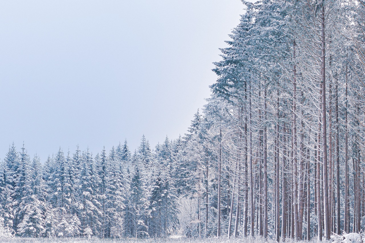 Crafting an Indoor Snow Day: Winter Crafts for Kids